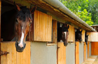 free Stalland Common stable construction quotes
